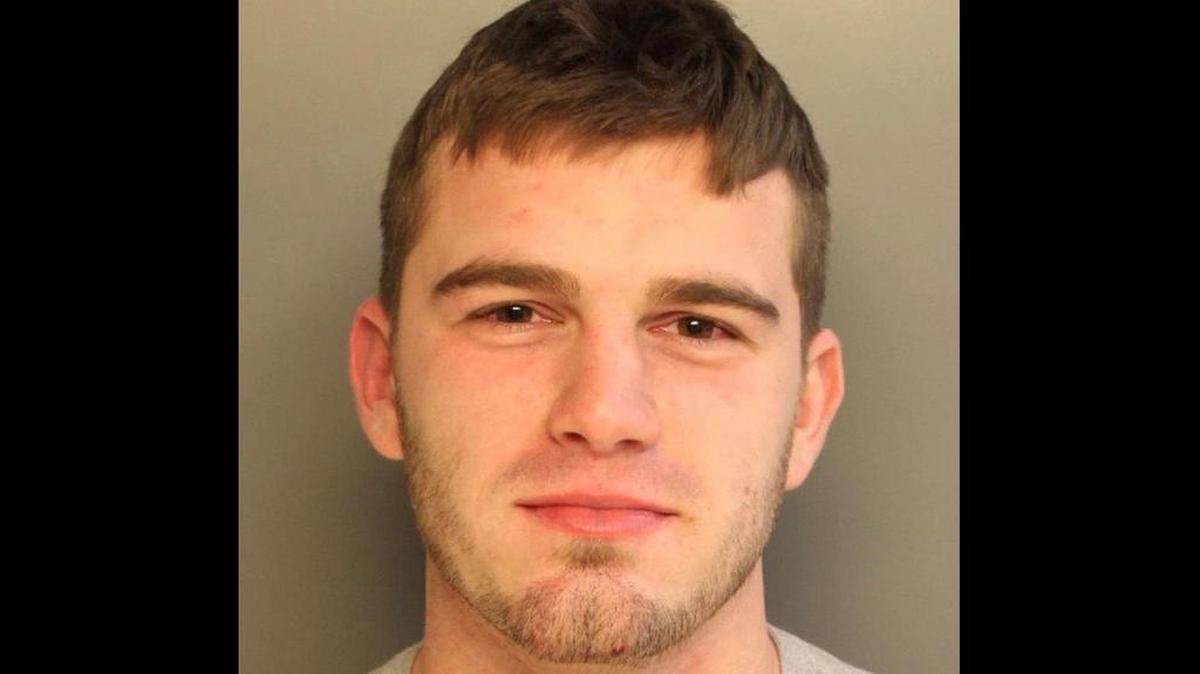 A drunk fan ejected from a Philadelphia Eagles football game for not having a ticket has been charged for punching a police horse.
