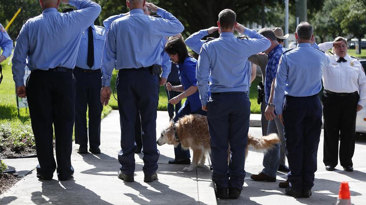 Bretagne the last surviving search and rescue dog from 9/11 is walked by her handler Denise Corliss past a flank of members of the Cy-Fair Volunteer Fire Department, as she was brought into the Fairfield Animal Hospital, Monday in Cypress, Texas to be euthanized.