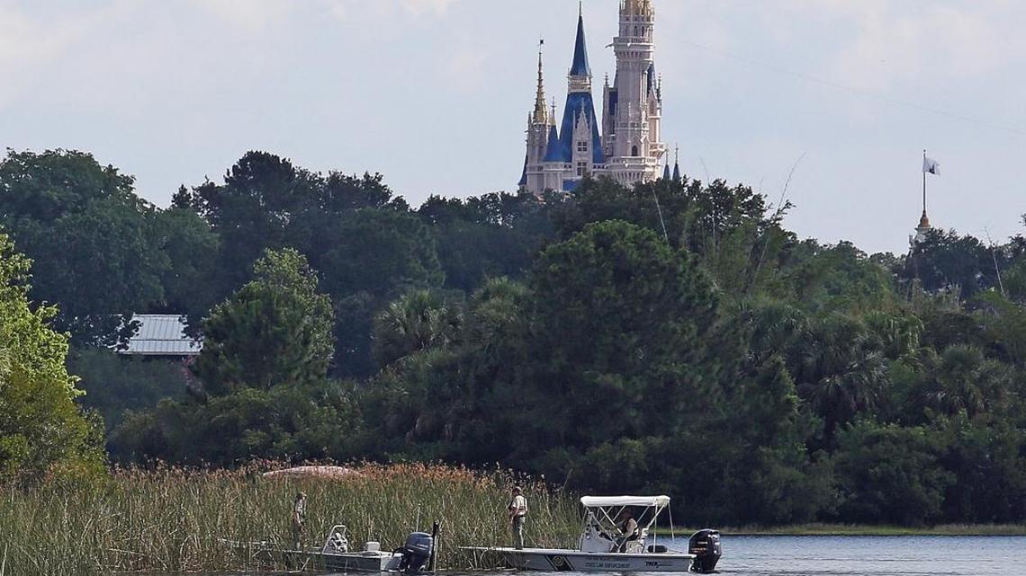 In the shadow of the Magic Kingdom, Florida Fish and Wildlife Conservation Officers search for a young boy Wednesday, June 15, 2016 after the boy was grabbed Tuesday night by an alligator at Grand Floridian Resort at Disney World near Lake Buena Vista, Fla.