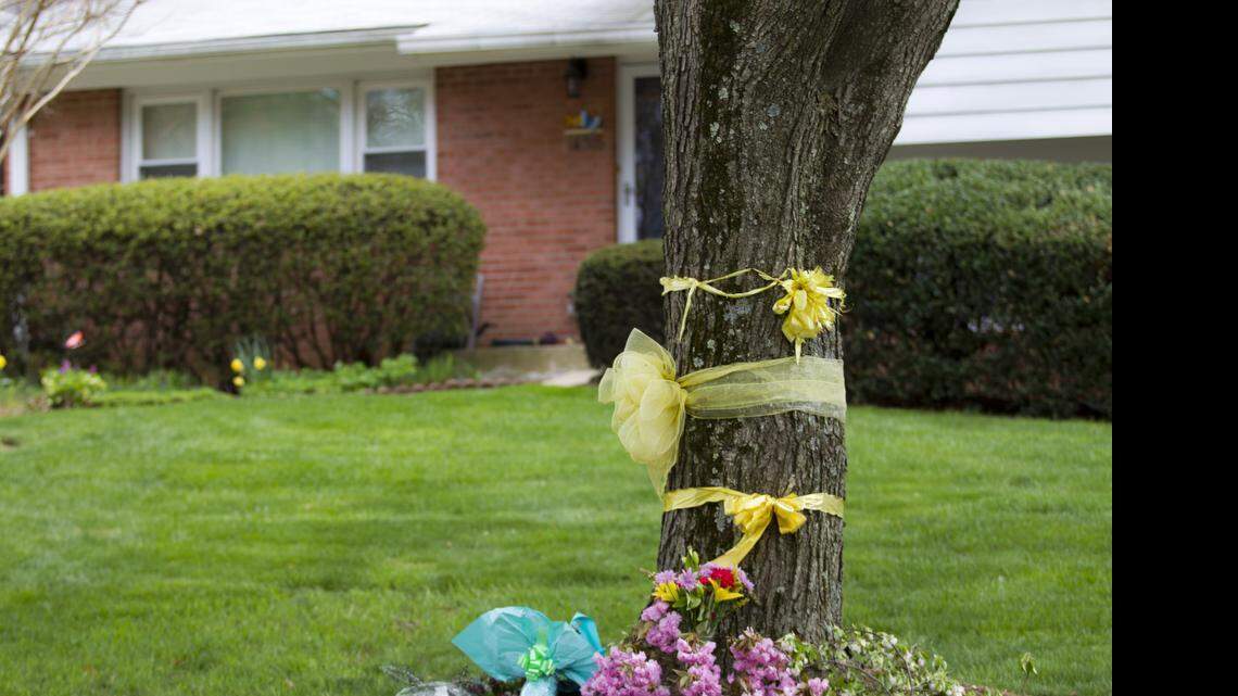 
Flowers and ribbons adorn a tree outside the Weinstein family house in Rockville, Md., April 23, 2015. 
