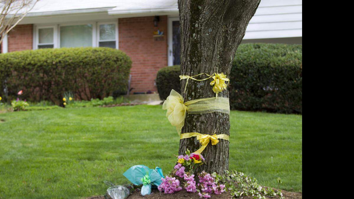 
Flowers and ribbons adorn a tree outside the Weinstein family house in Rockville, Md., April 23, 2015. 
