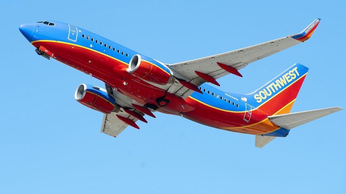 Police pulled a distraught woman off a Southwest Airlines flight from Baltimore to Los Angeles on Tuesday after she told the crew she could not fly with two dogs on board.
