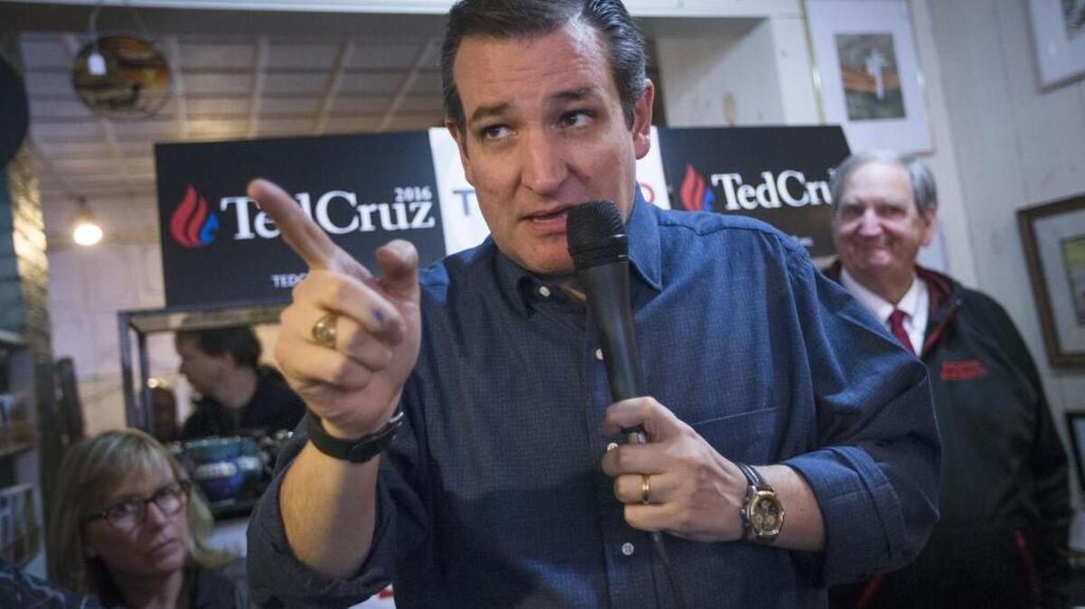 Sen. Ted Cruz, R-Texas speaks, during a campaign stop at the Freedom Country Store on Tuesday, Jan. 19, 2016, in Freedom, N.H.