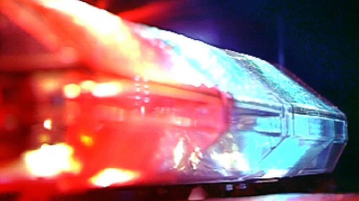 Fort Worth police found more than 70 snakes at a home Saturday night where a man died.