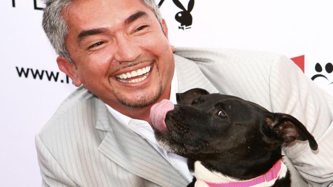 Emmy-winning dog trainer Cesar Millan is famous for turning the most problematic pooch into a good citizen. He faced an animal cruelty investigation but was cleared. In this 2007 photo, he’s attending the Much Love Animal Rescue Benefit at The Playboy Mansion in Los Angeles.