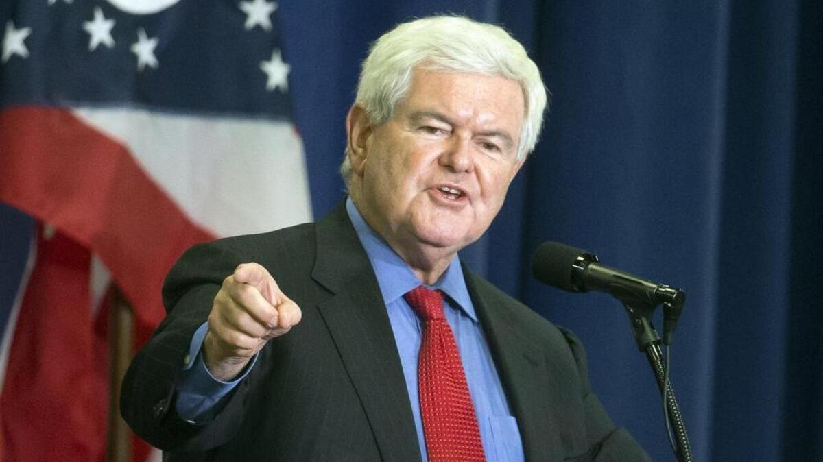 Former House Speaker Newt Gingrich, who has been mentioned as a potential running mate for presumptive Republican presidential candidate Donald Trump, told Fox News on Thursday that Americans with Muslim backgrounds should be tested. His remarks came after the terror attack in Nice, France.