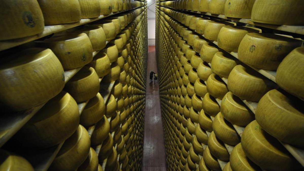 A temperature-controlled vault stacked with aging Parmesan cheese.