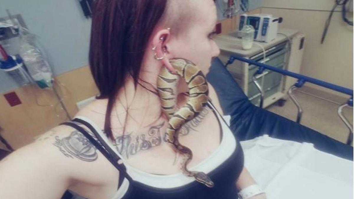 Screencapture of Facebook page post by Ashley Glawe, where she described the encounter between her snake and her earlobe.