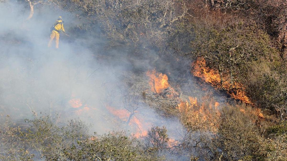 
Brush and oak trees flare up as firefighters work to contain a blaze that burns along State Highway 68 east of Laureles Grade in rural Salinas, Calif., Saturday, Sept. 19, 2015. 

