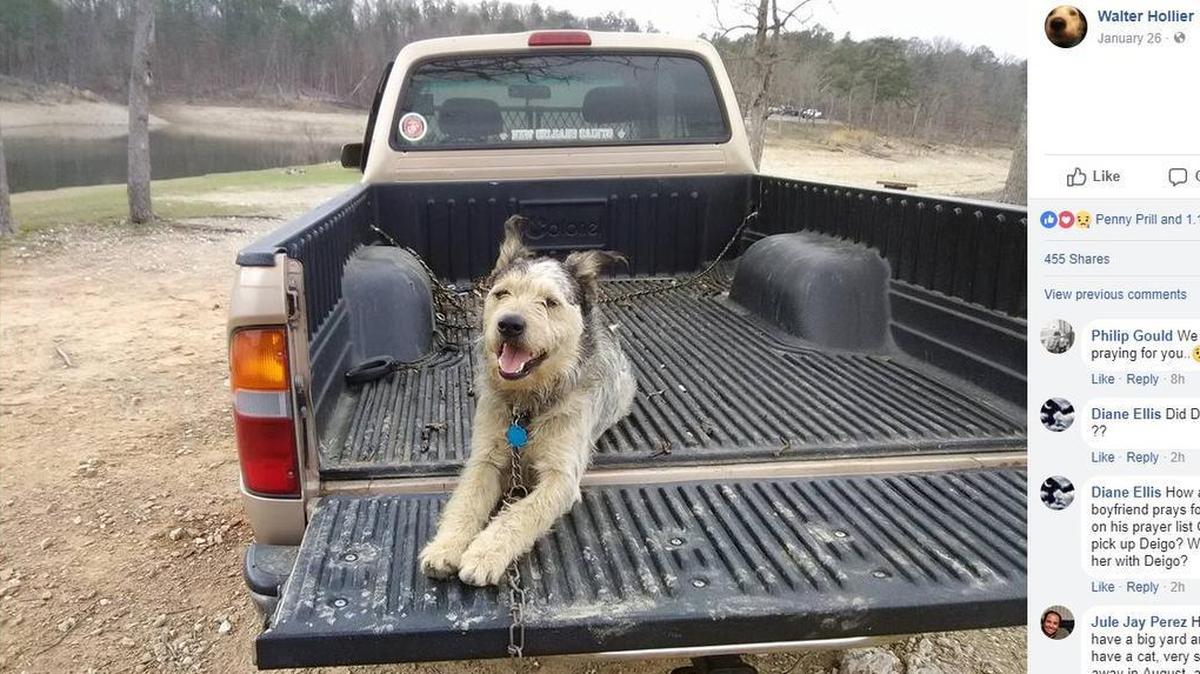 Walter Hollister of Round Rock, Texas, posted to Facebook to try to find a new home for his dog, Diego, before he died. The response overwhelmed him.