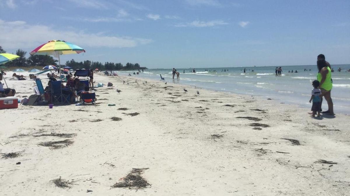 Beachgoers found a body early Sunday morning on Coquina Beach in Bradenton Beach, Florida.