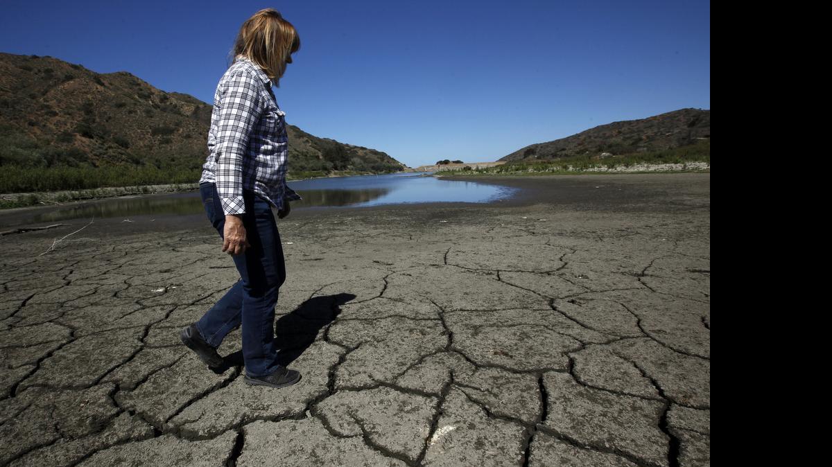 
The city of Avalon, Calif., welcomes the early morning sun on April 28, 2015. The city may be forced to cut its water usage by 50% because of the drought. 
