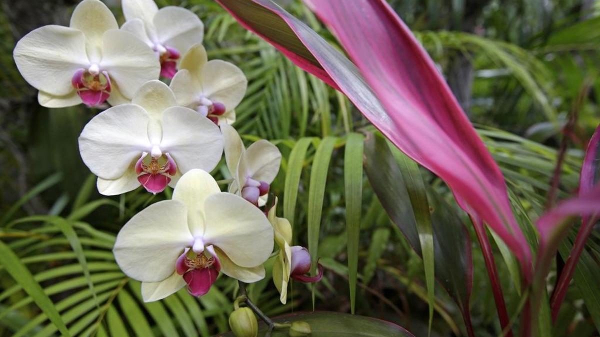 Miami ranks No. 1 for naked gardening.