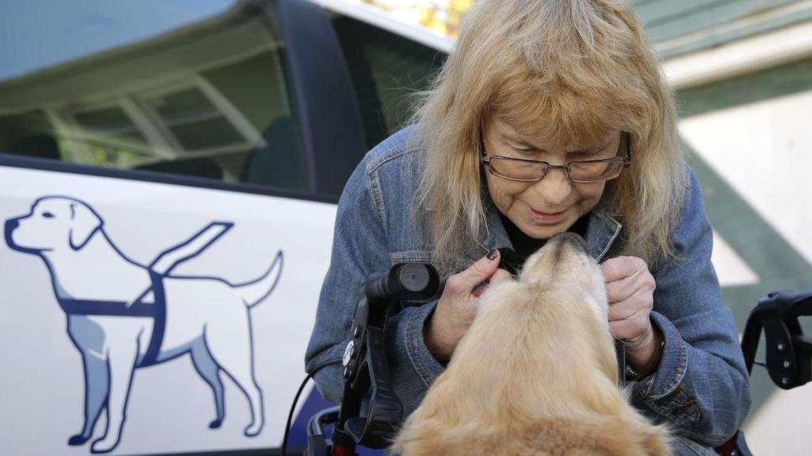 Audrey Stone greets her guide dog, Figo, who returned home Oct. 26, 2015, for the first time since an accident injured them both months ago.