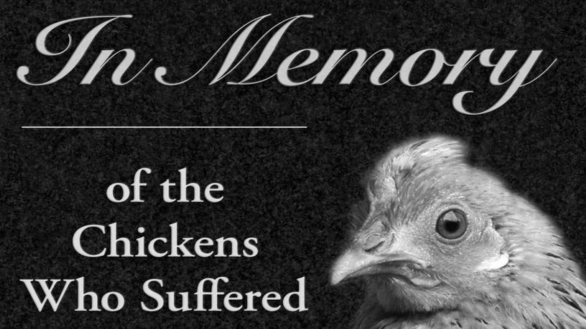 This is the conceptual design for the memorial People for the Ethical Treatment of Animals hopes to have placed at the scene of an Aug. 5 big-rig crash on Highway 99 near Lander Avenue in Turlock that killed an undetermined number of chickens.