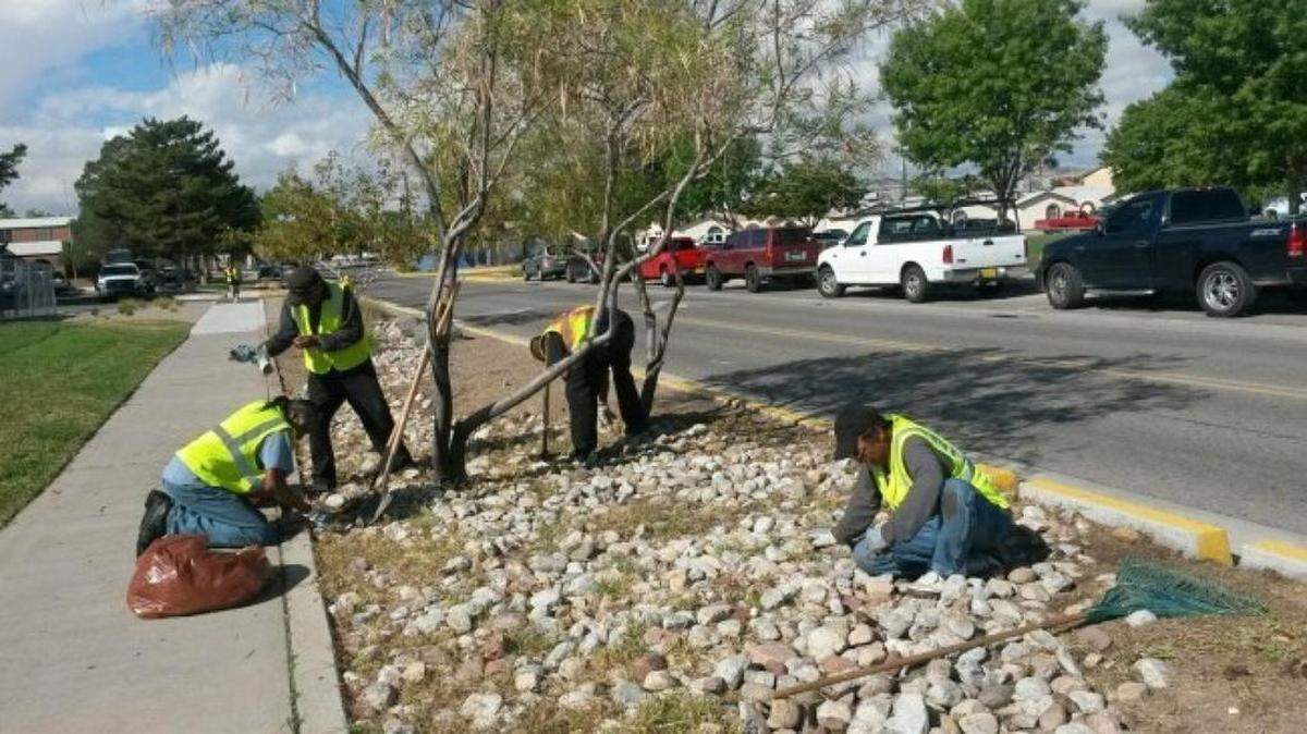 Panhandlers are hired to beautify the city of Albuquerque, New Mexico.