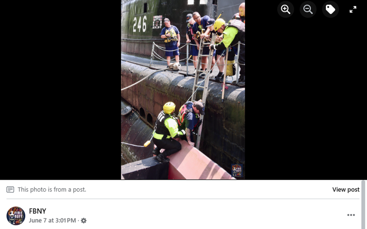A deer was rescued from the water at the Buffalo and Erie County Naval and Military Park in New York.