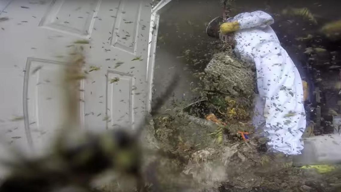 A Louisiana exterminator used a GoPro to capture video of his work destroying a giant hornet nest that was twice as tall as him.