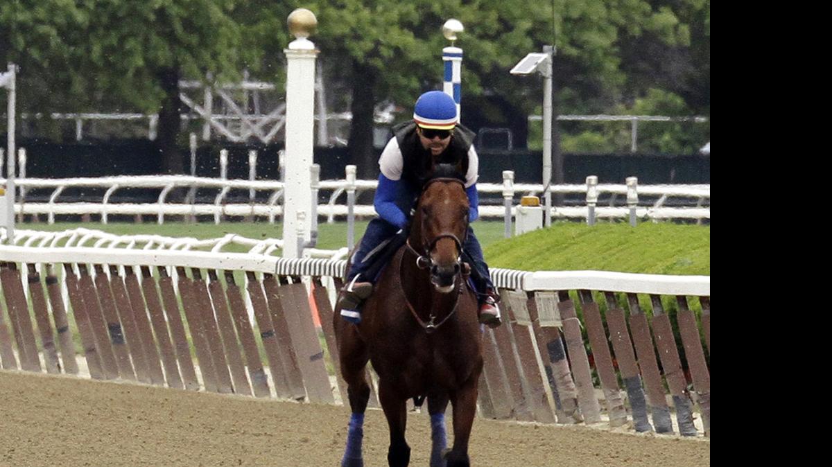 
Kentucky Derby and Preakness Stakes winner American Stakes Pharoah, with exercise rider Jorge Alvarez up, gallops around the track at Belmont Park, Friday, June 5, 2015, in Elmont, N.Y. American Pharoah will try for a Triple Crown when he runs in Saturday's 147th running of the Belmont Stakes horse race. 
