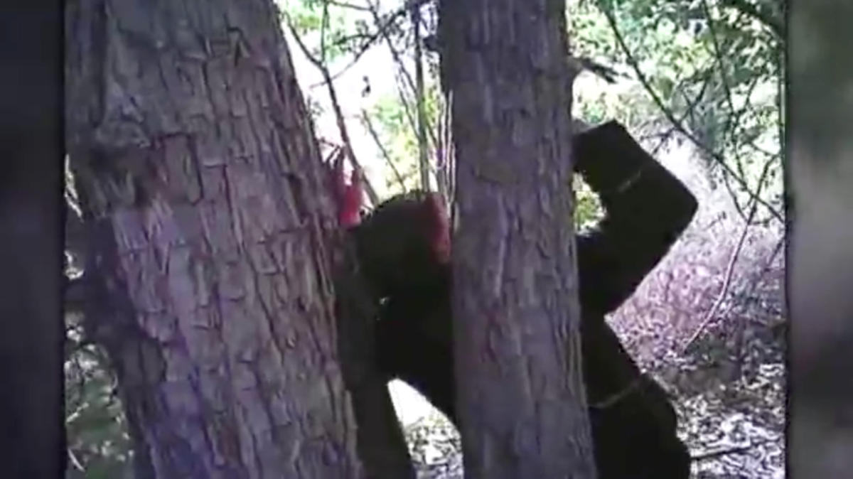 Jose Duran is seen here nailed to the tree.