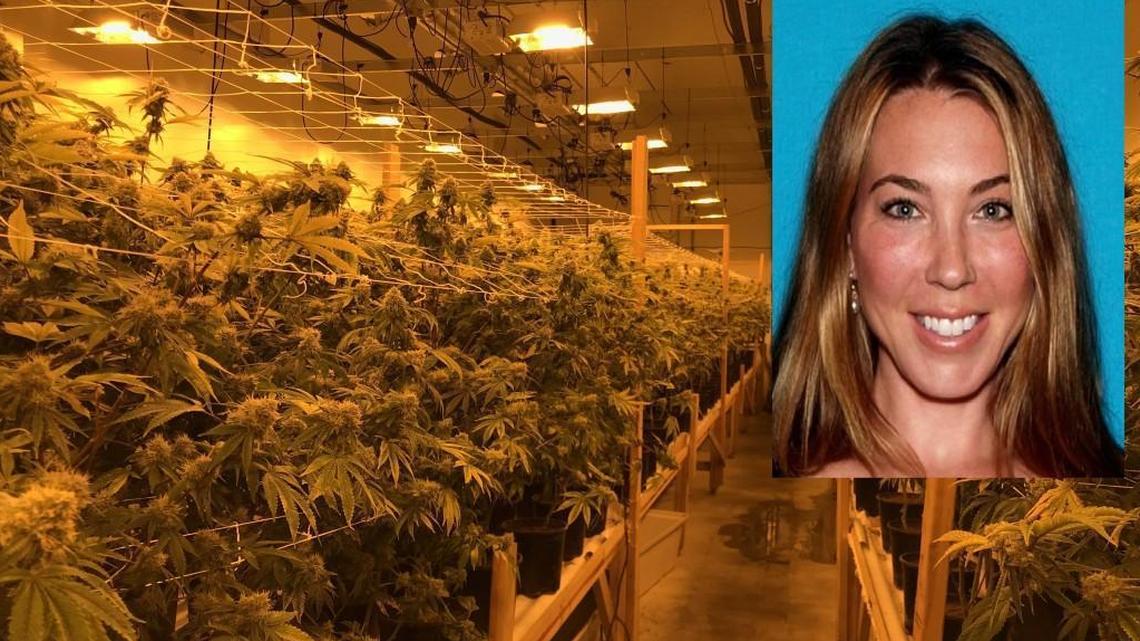 Stephanie Smith is accused of running a marijuana ring that reportedly brought in millions of dollars each month and included tens of thousands of plants.