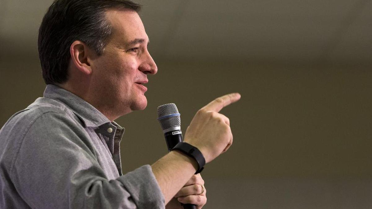 Sen. Ted Cruz, R-Texas, speaks at a town hall meeting in Salem, N.H., on Friday, Feb. 5, 2016.