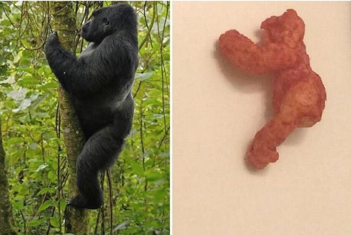 Remember the Cheeto shaped like Harambe? In February a “rare” Flamin’ Hot Cheeto shaped like the famous gorilla sold for nearly $100,000 on eBay.