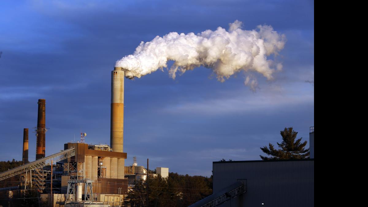 
Slowing the carbon build-up in the atmosphere would prevent severe damage to a wide range of critical ecosystems, according to a report released by the White House.

