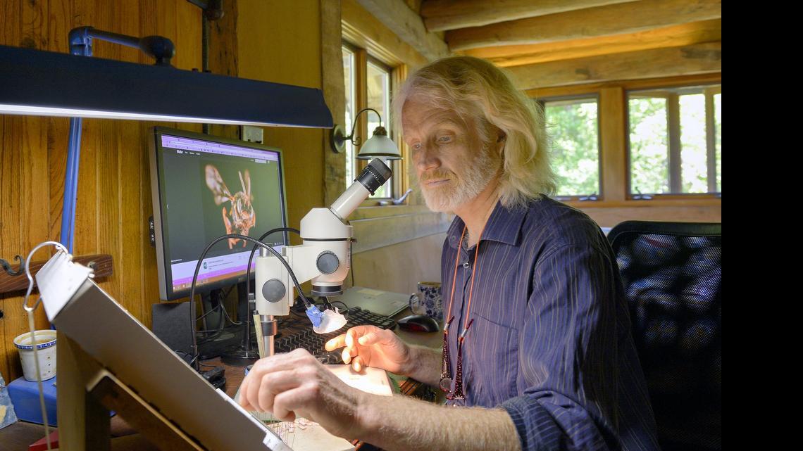 
Sam Droege, a U.S. Geological Survey wildlife biologist and one of the country’s foremost experts on native bee identification, works to identify and catalog bees from his home in Upper Marlboro, Md., on May 14, 2015.
