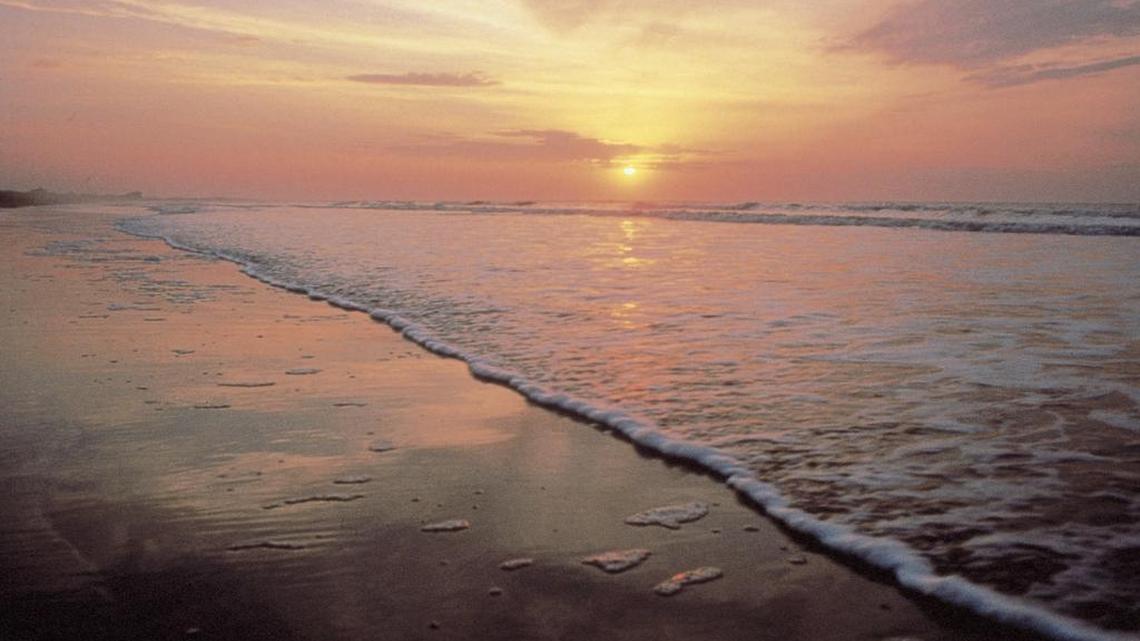 Beachwalker Park is home to one of the best beaches in the country, rankings show.