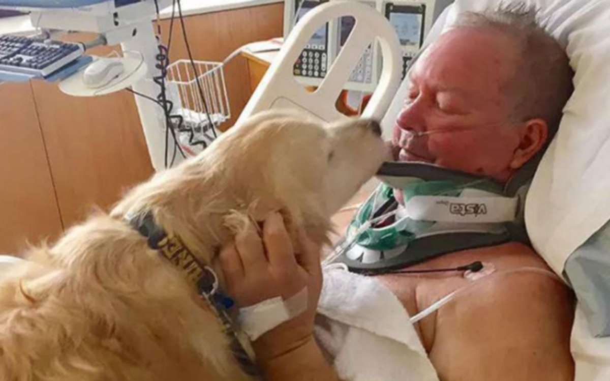 Bob and Kelsey are reunited in the hospital after Bob was released from surgery.