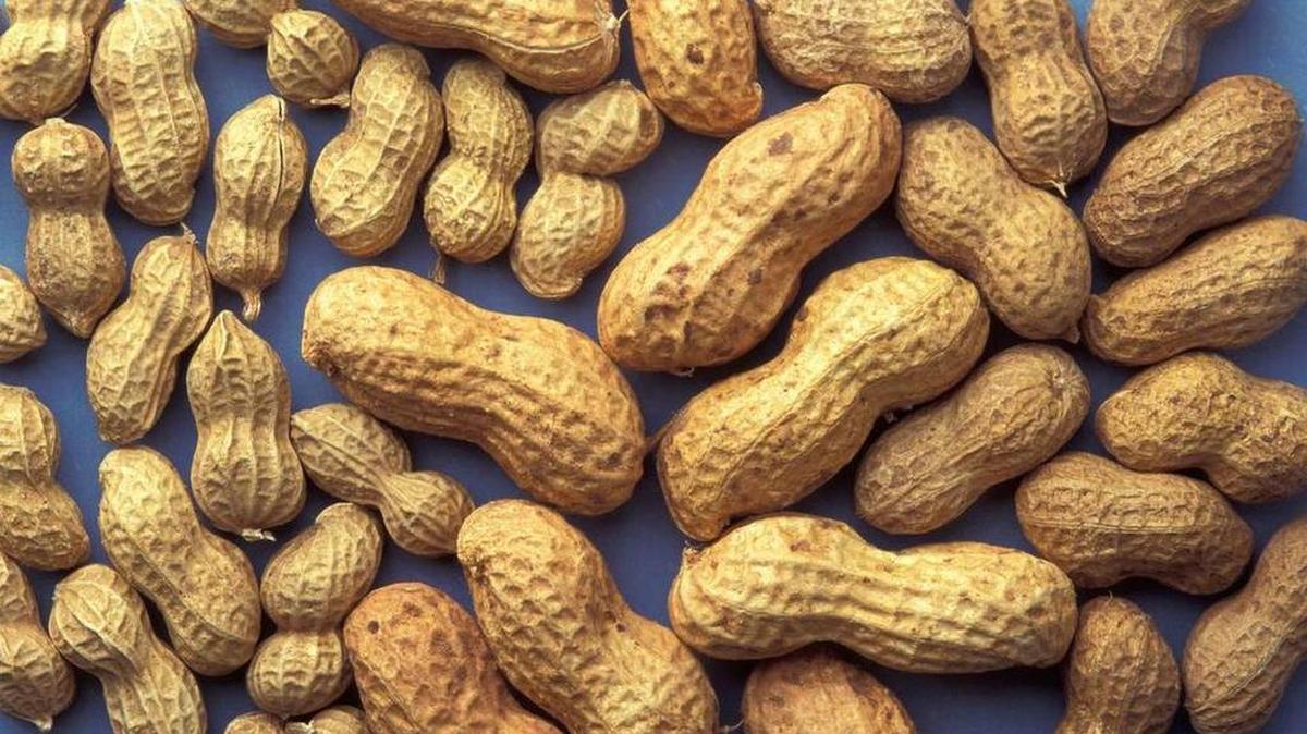 A mom in an online forum was shamed by other users after asking whether it was unacceptable to have let her child eat peanut butter in in a Target shopping cart. But how dangerous really was it?