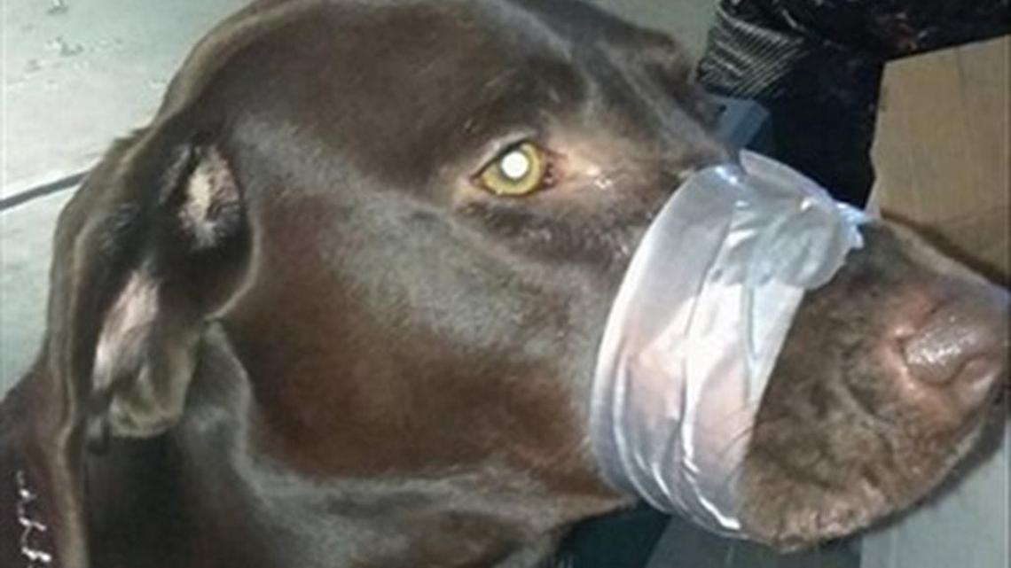 In a span of about 32 hours, this photo had been shared more than 288,000 times.