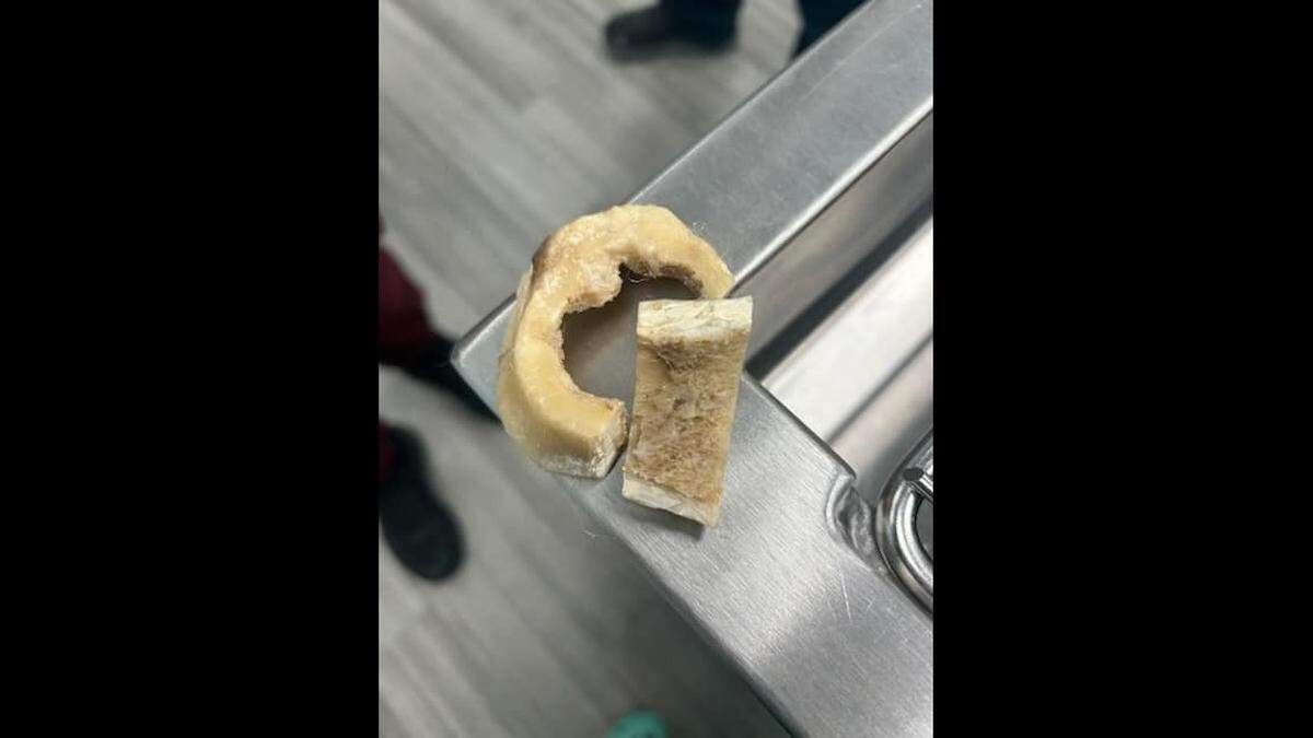 A bone was removed by an emergency vet clinic after getting stuck around a dog’s jaw.