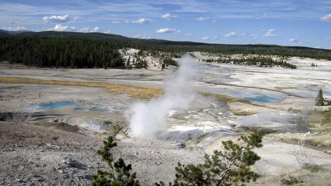The man evidently walked 225 yards away from the boardwalk and fell in Norris Geyser Basin in Yellowstone National Park, Wyo.