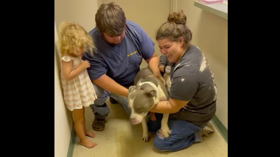 A family was reunited with their dog after he was lost for almost a year, according to a Florida sheriff’s office.