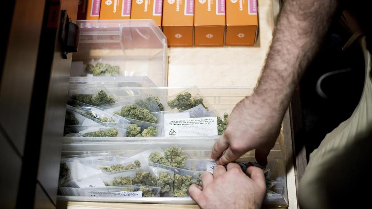 JP Noda stocks cannabis at The Apothecarium shortly before the store opened for its first day of recreational marijuana sales on Saturday, Jan. 6, 2018, in San Francisco. An announcement that the Department of Justice would no longer adopt a "hands-off" approach to legalized marijuana use sent some in the industry into a tailspin just days after the $1 billion California recreational weed market opened for business.