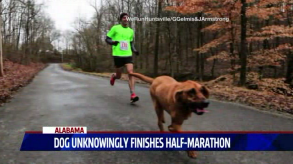 Ludivine runs the Elmont Half Marathon.
