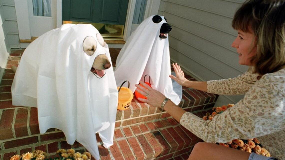 Halloween is a peak time for your pet to get food poisoning. Here’s how to avoid it.