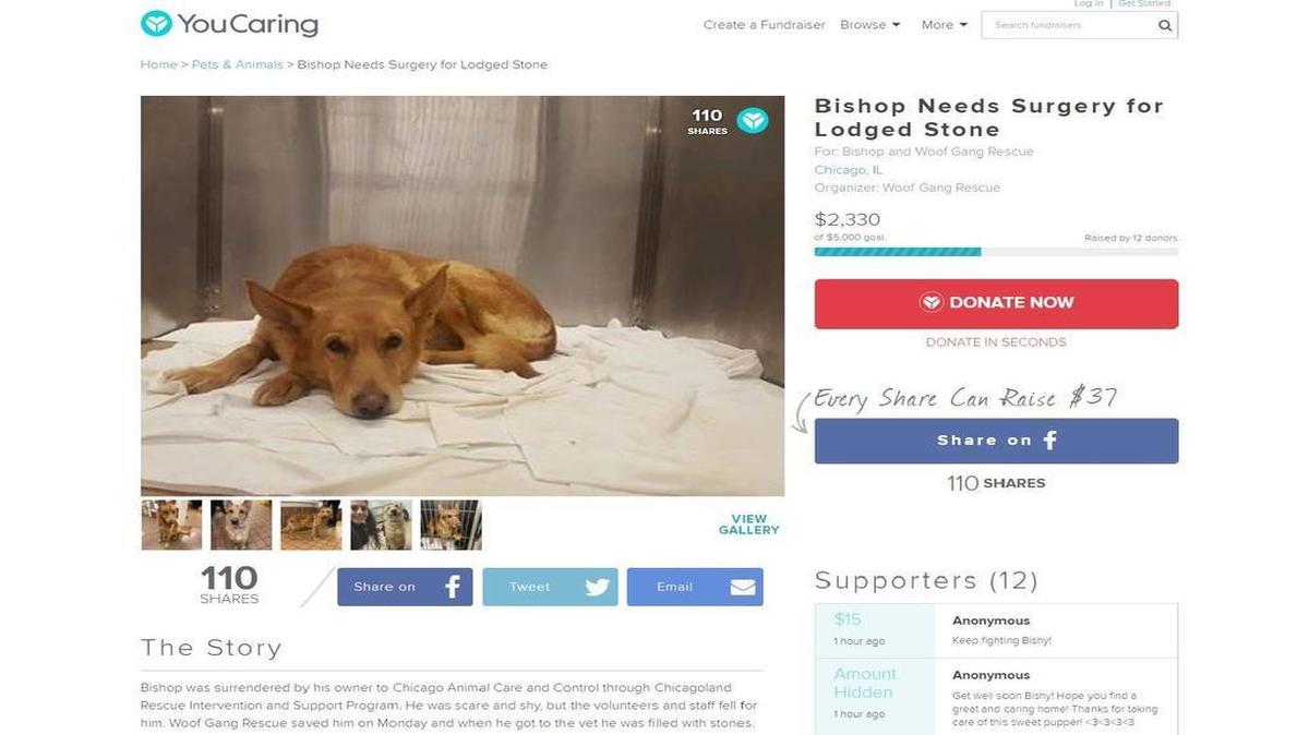 A fund raising page was set up to help pay for the sex-change surgery that save Bishop’s (now Bishy’s) life.