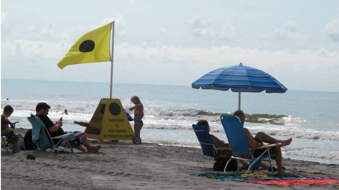 Vacationers enjoy the shore at Folly Beach, S.C. Despite the Obama administration’s recent decision to scrap its offshore drilling plans for the southeast Atlantic coast, permits for seismic testing are still being pursued. Environmental groups have expressed concern about harm to South Carolina’s tourism industry.