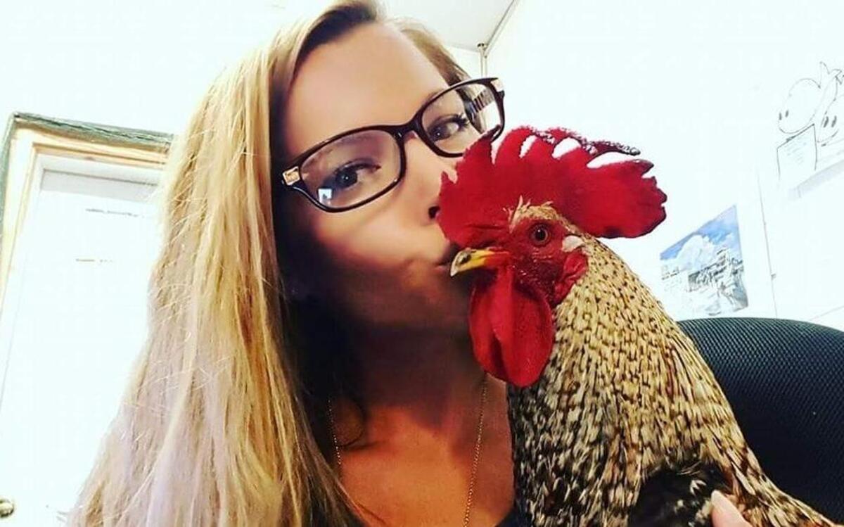 Jessica Barhitte with Grumbles, Swordfish Grill & Tiki Bar’s pet rooster. Barhitte said Grumbles disappeared sometime Sunday afternoon. She’s offering up to $300 for his safe return.