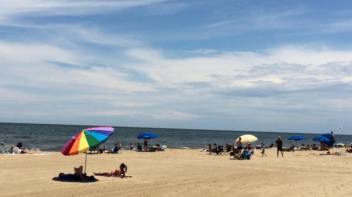We convince ourselves that our work contributions are so absolutely essential that our organization will fall apart at the seams if we take a vacation to the beach or somewhere else.