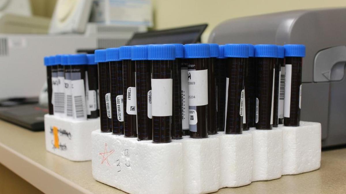 DNA testing may soon be forced on employees, who would have to pay hundreds of dollars in penalties if they refuse.