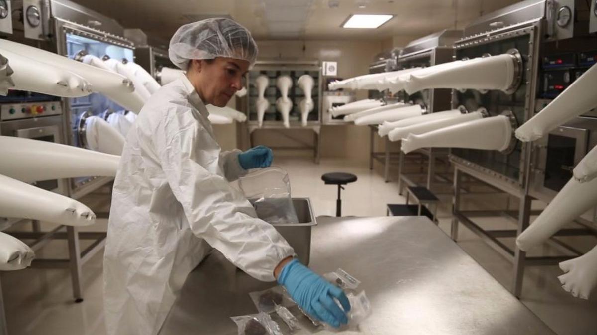 Cari Corrigan examines a meteorite in the National Museum of Natural History clean room.