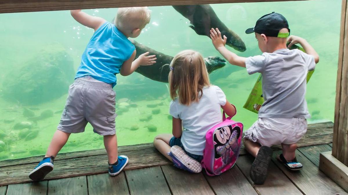 Taking care of your grandkids could help improve life expectancy.