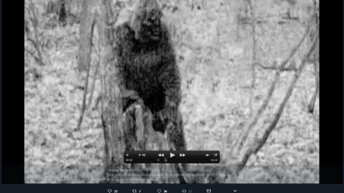 “New trail cam photos... photoshopped? Or the real deal? You decide,” the tweet says.