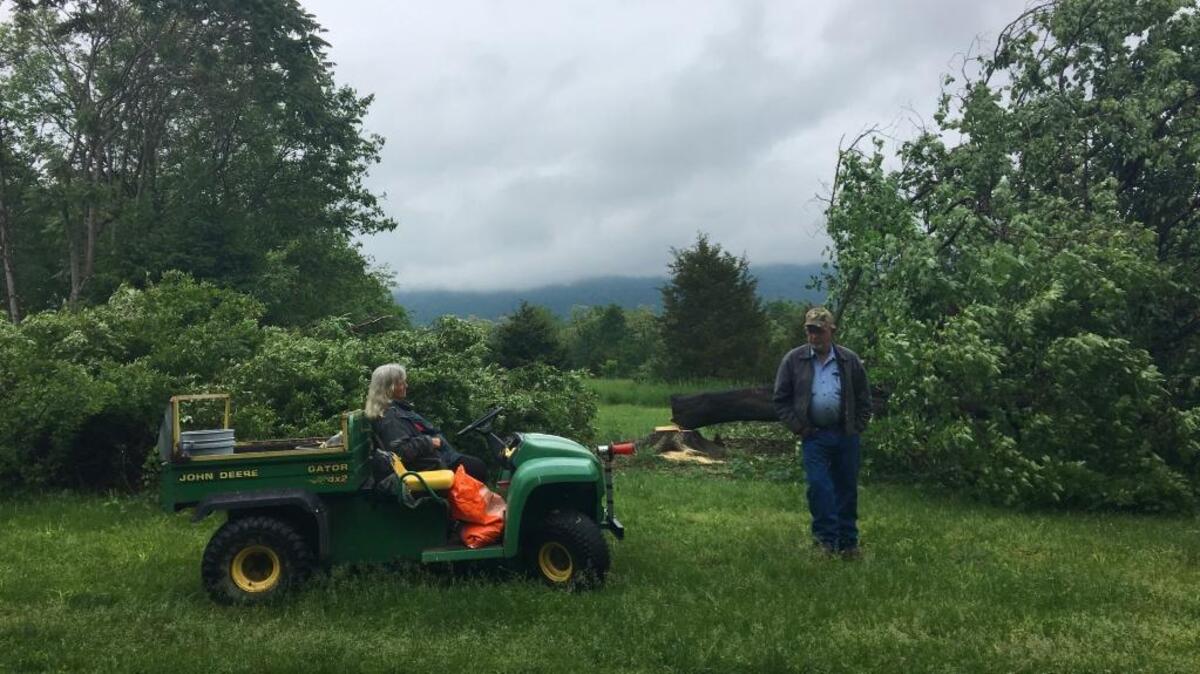 Doris and Ralph Blume take in the damage on their property in Newville, Pennsylvania, May 22, 2017, after Sunoco cut down trees for its Mariner East 2 pipeline project. The company used eminent domain to clear the trees.