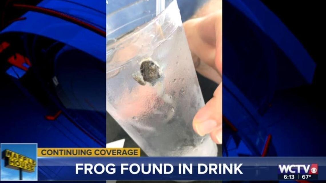 A Tallahassee couple says a frog was found in their iced water last week at Waffle House.