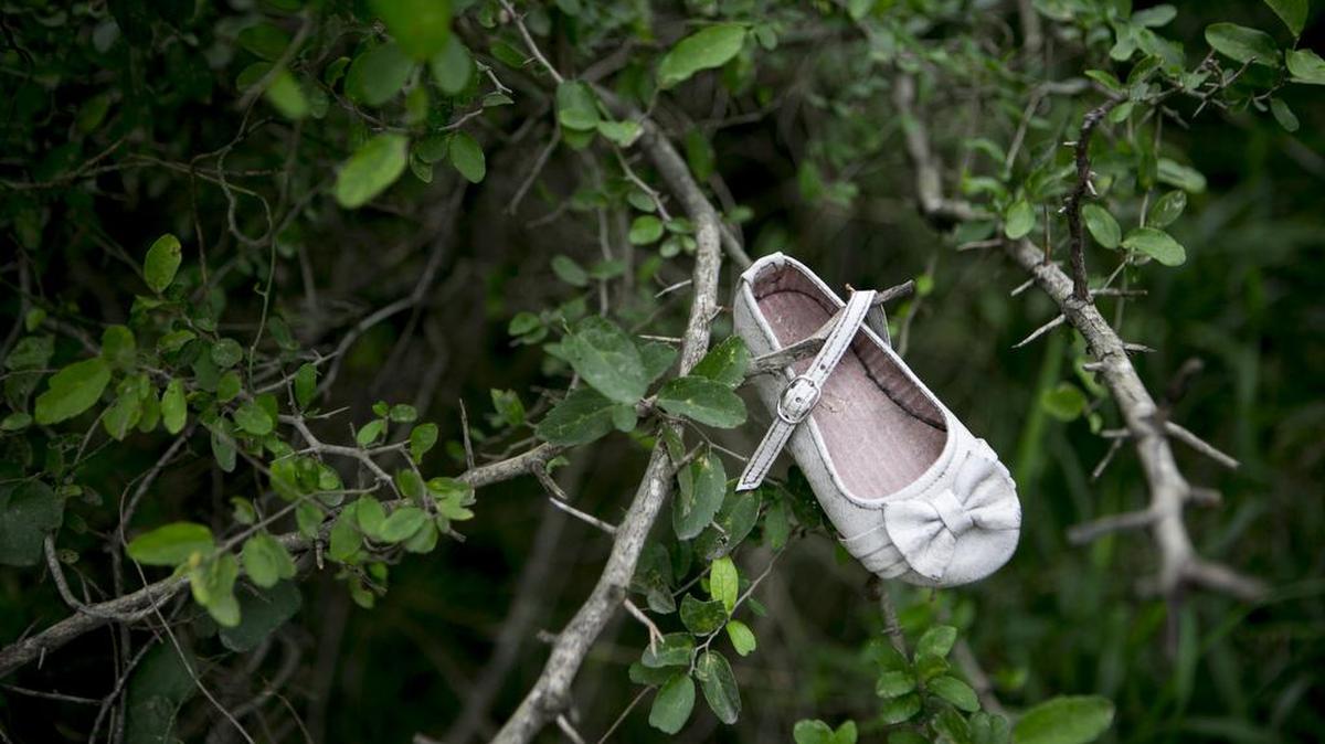 A child's shoe hangs from a branch near a popular border crossing of the Rio Grande in Texas, Nov. 12, 2015.
